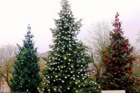 Quand le sapin de Noel se met en fête... c'est à Saulieu que ça se passe !